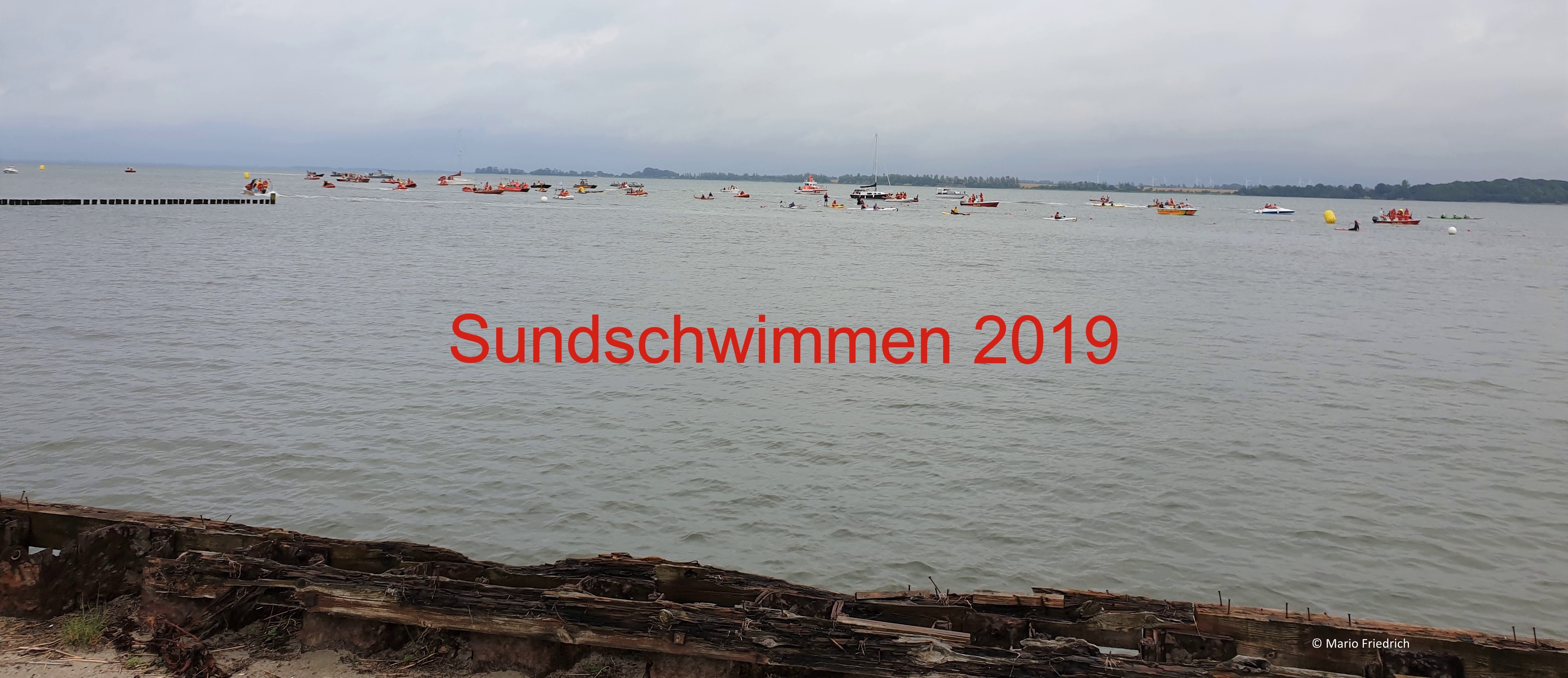 Sundschwimmen 2019